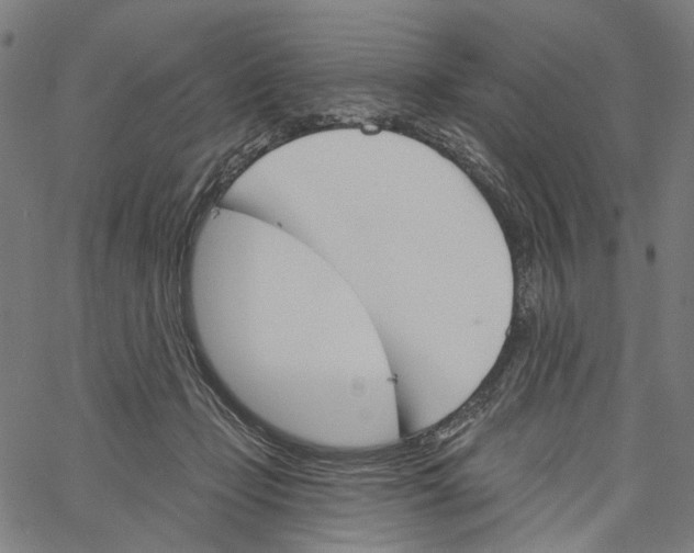 X0000061100365200512161354
