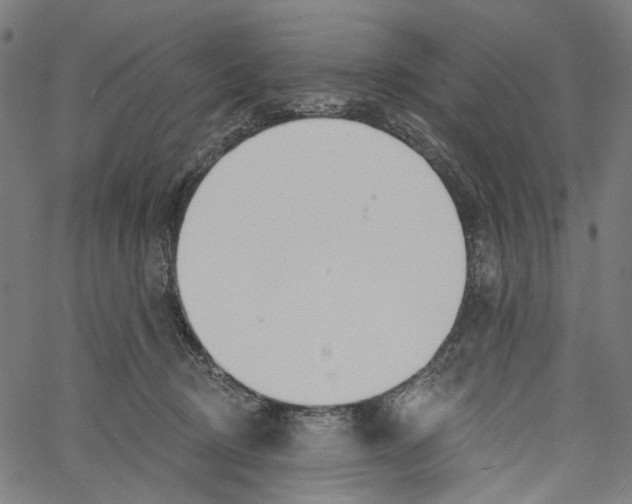 X0000061100370200512161354