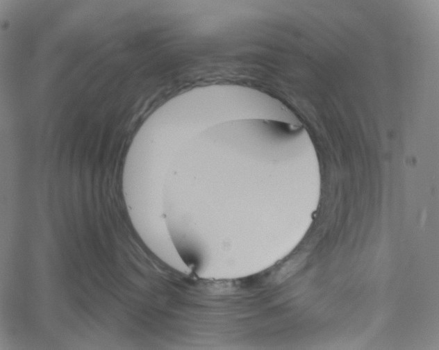 X0000061100384200512161354
