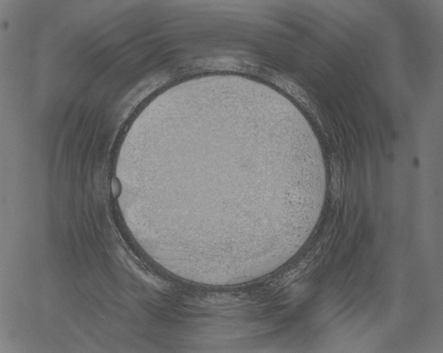 X0000061100390200512161353