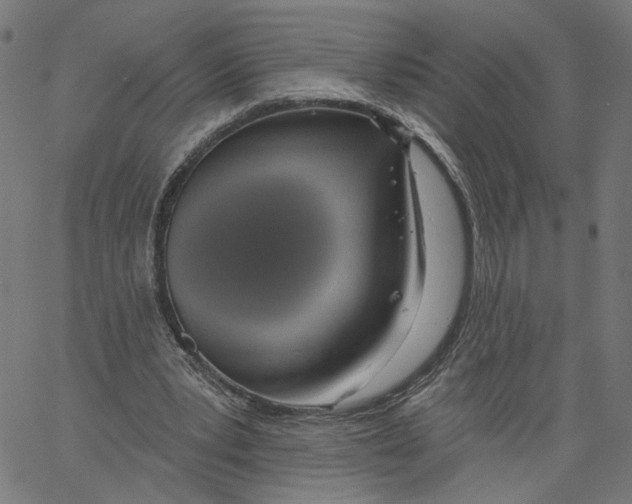 X0000061100391200512161353
