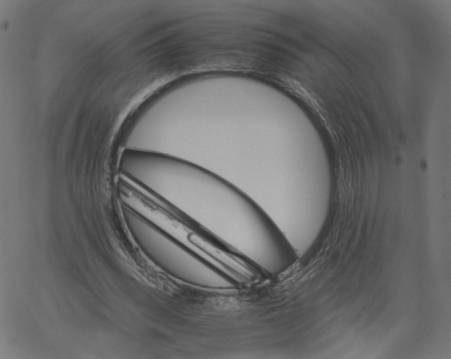 X0000061100392200512161353