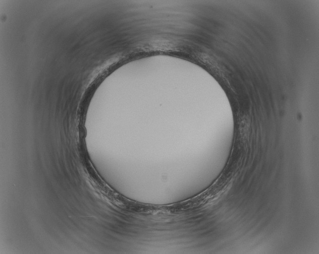 X0000061100395200512161353