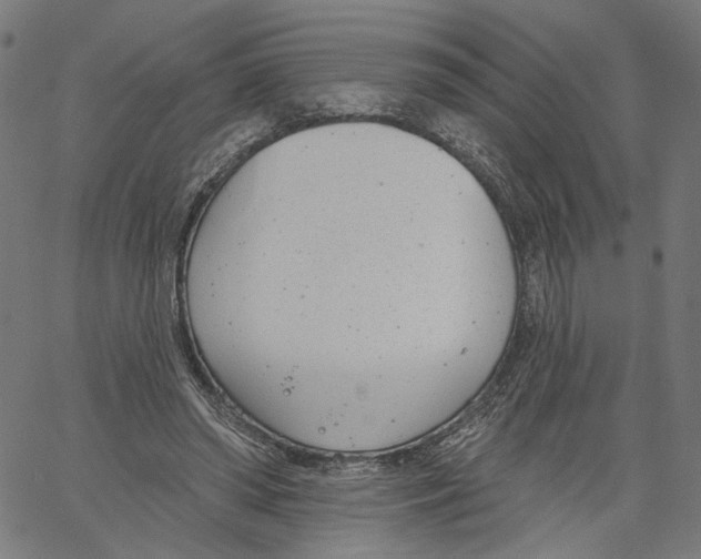 X0000061100398200512161353