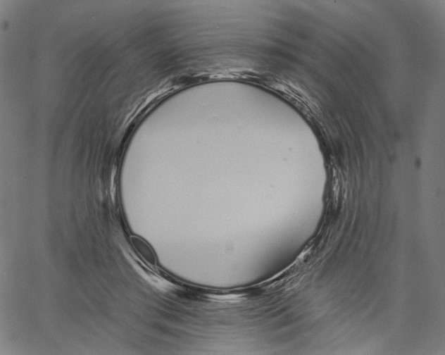 X0000061100405200512161353