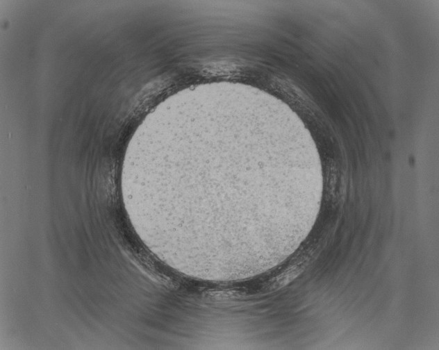 X0000061100408200512161353