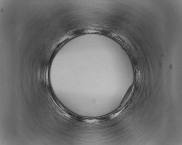 X0000061100409200512161353