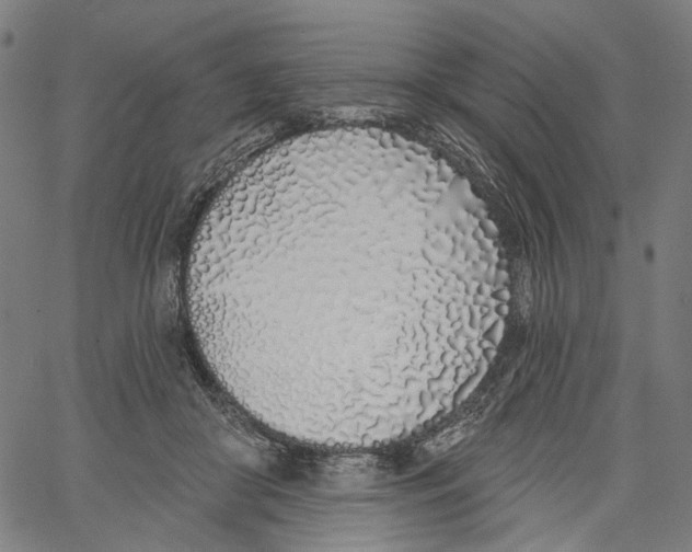 X0000061100410200512161353