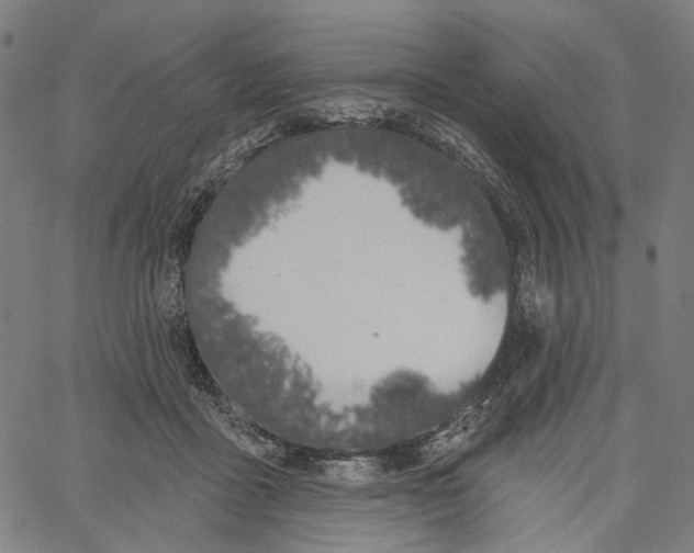 X0000061100411200512161353