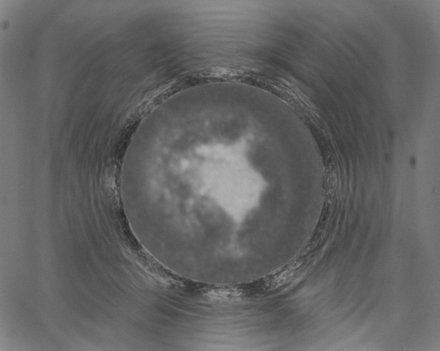 X0000061100415200512161353