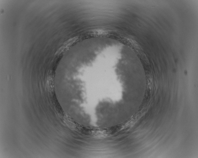 X0000061100419200512161353