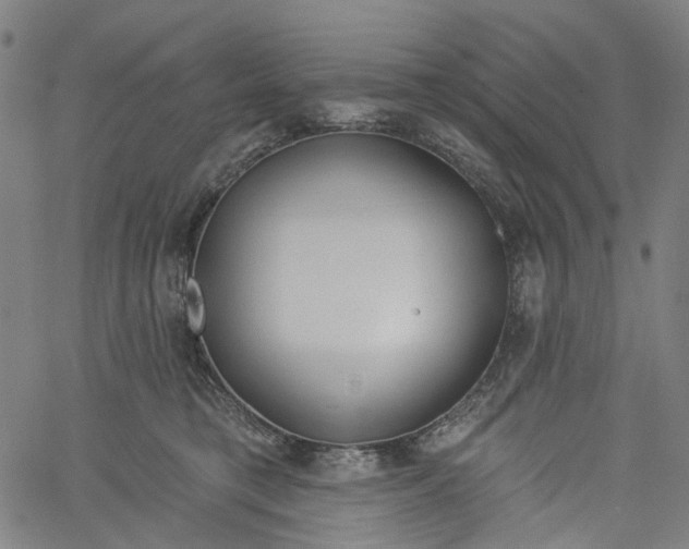 X0000061100421200512161353