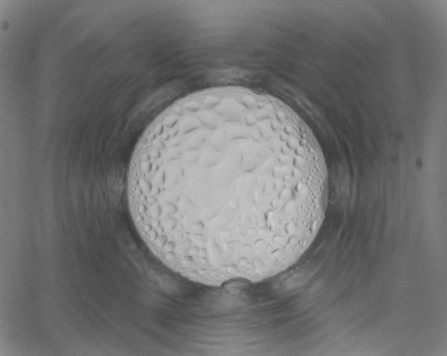 X0000061100427200512161353