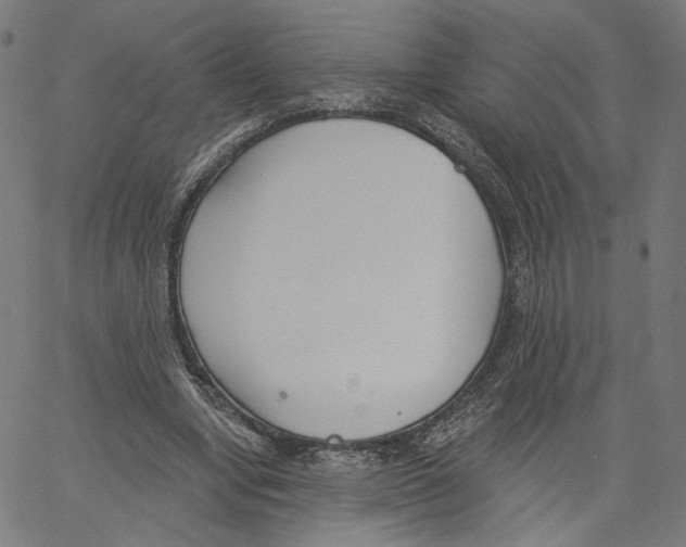 X0000061100442200512161352