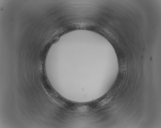 X0000061100456200512161352