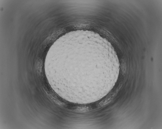 X0000061100458200512161352