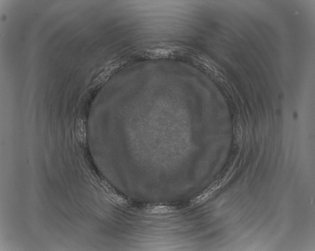 X0000061100467200512161352