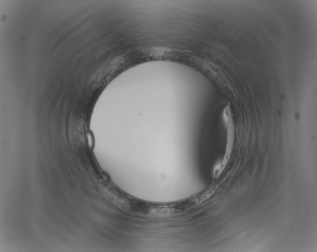 X0000061100470200512161352
