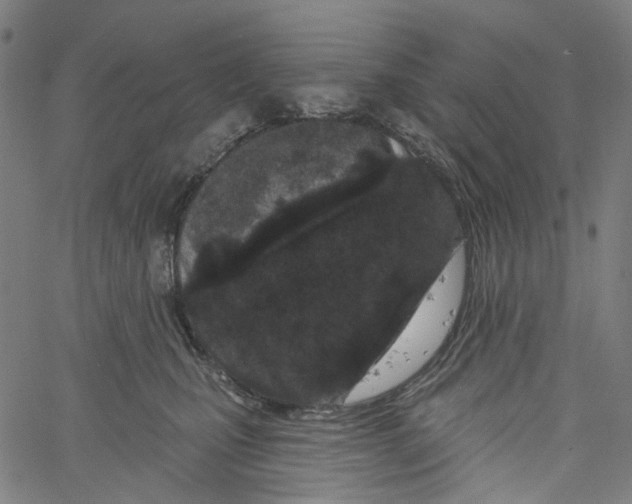 X0000061100471200512161352