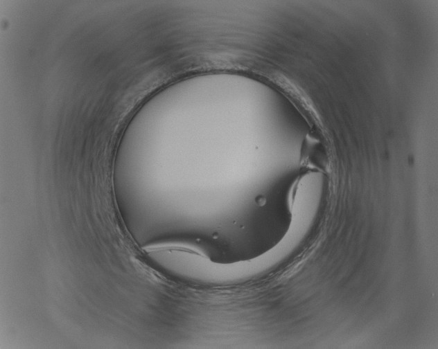 X0000061100481200512161352