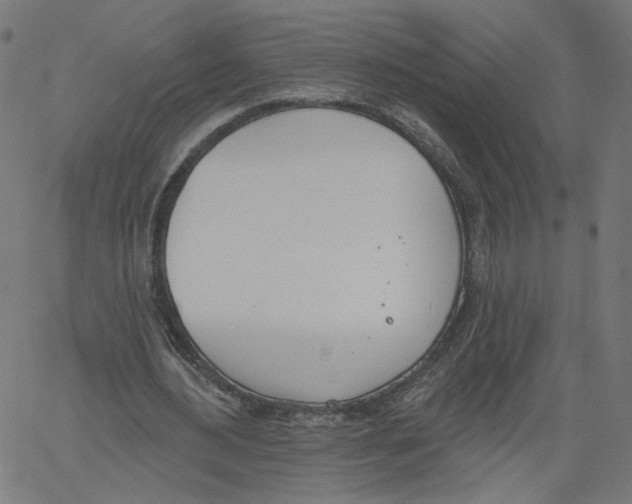 X0000061100484200512161352