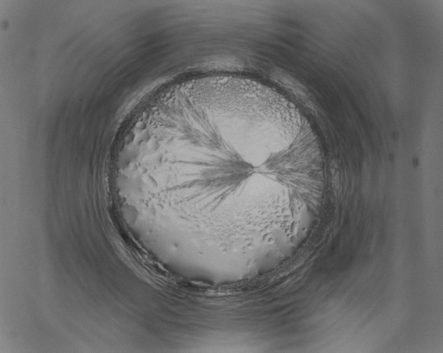 X0000061100487200512161352