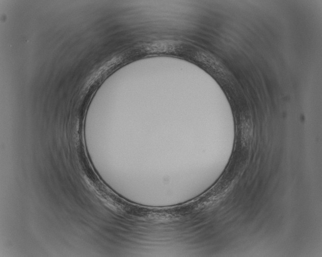 X0000061100490200512161352
