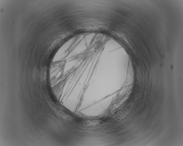 X0000061100495200512161352
