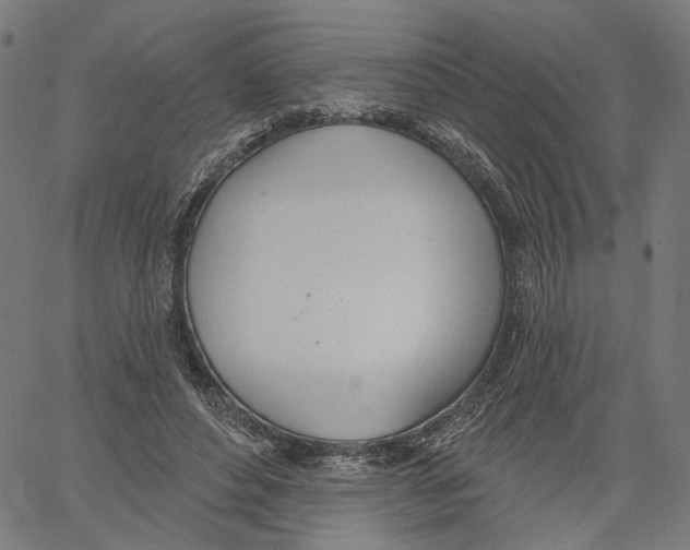 X0000061100496200512161352