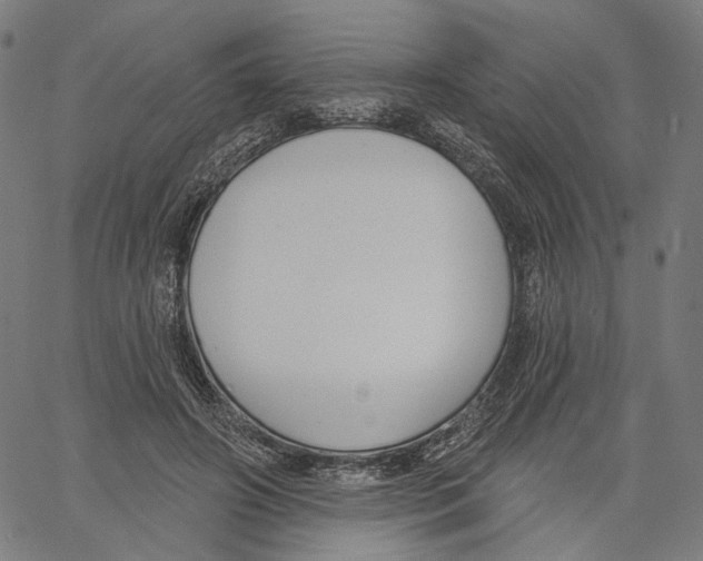 X0000061100498200512161352