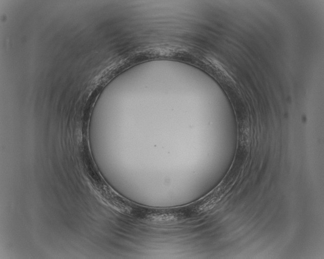 X0000061100500200512161352