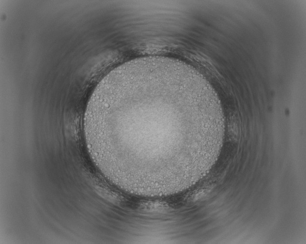 X0000061100503200512161351
