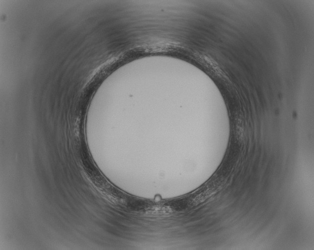 X0000061100543200512161351