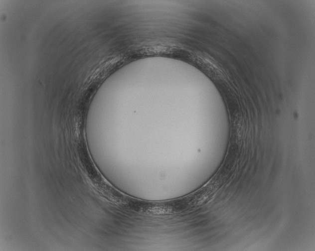 X0000061100546200512161351