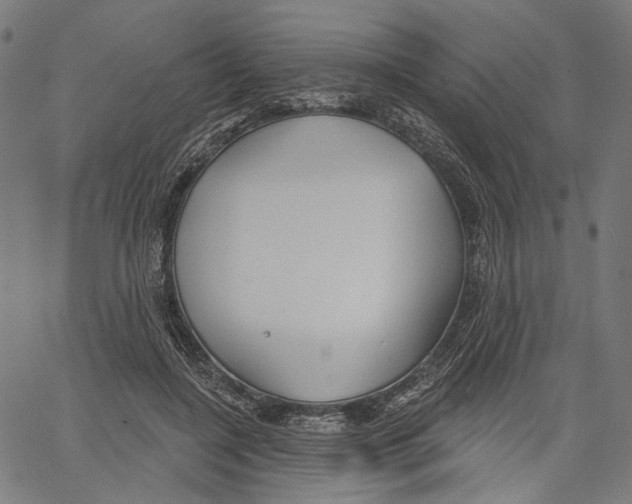 X0000061100548200512161351