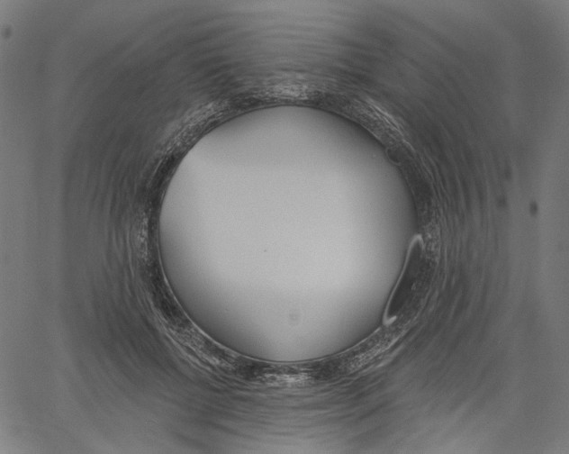 X0000061100552200512161351
