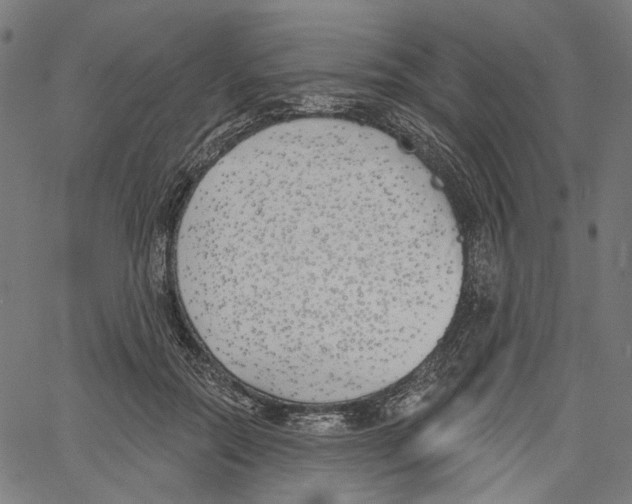 X0000061100554200512161351