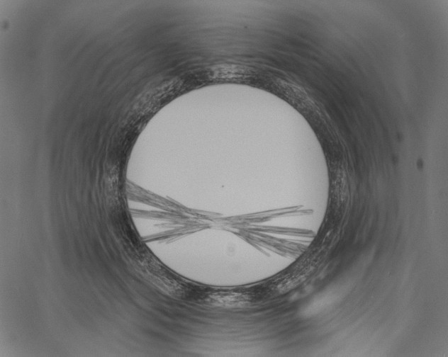 X0000061100557200512161351