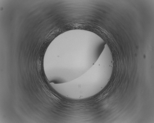 X0000061100558200512161351
