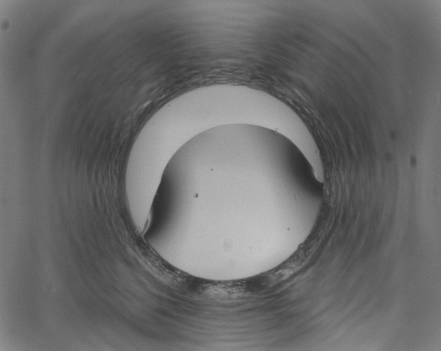 X0000061100568200512161351