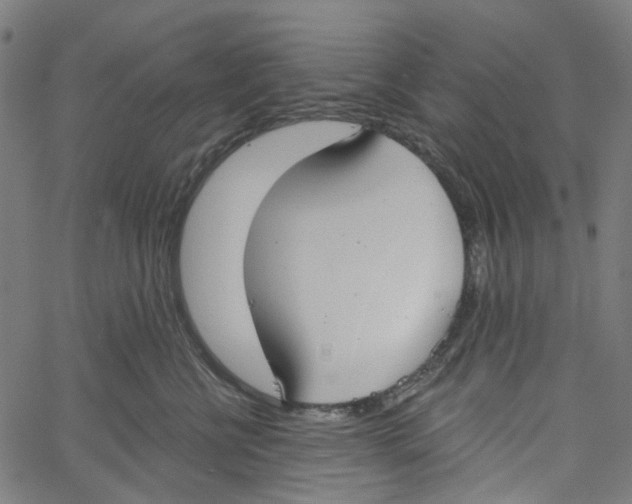 X0000061100570200512161351