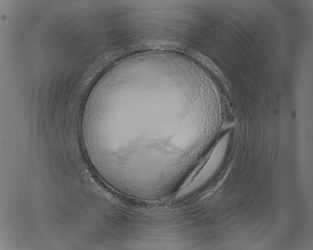 X0000061100577200512161350