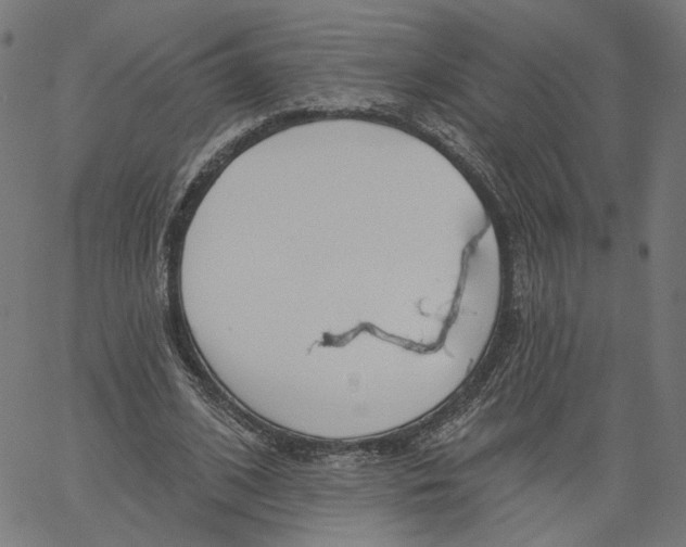 X0000061100584200512161350