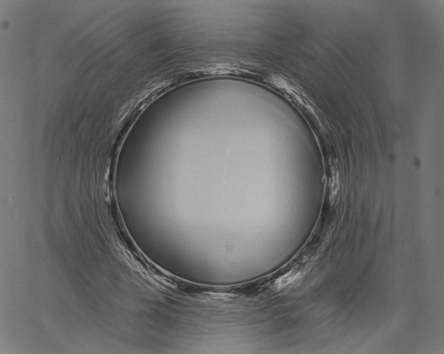 X0000061100585200512161350