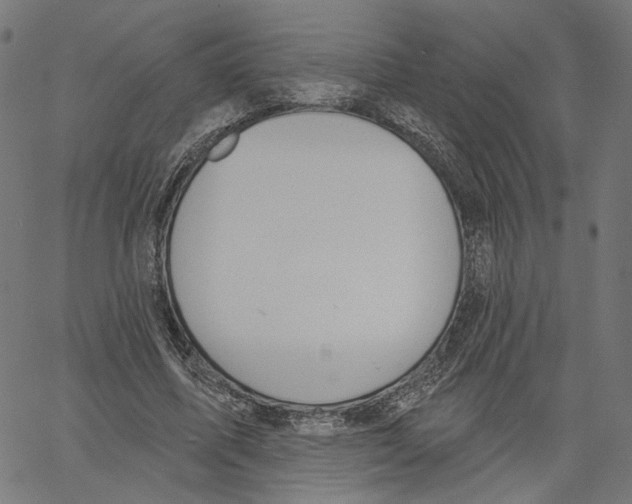 X0000061100587200512161350