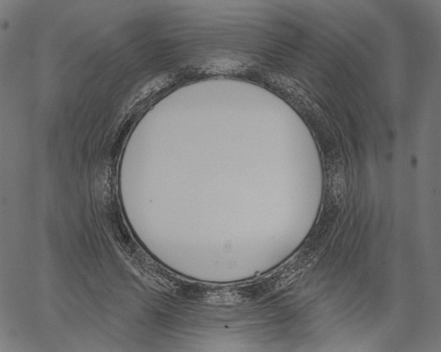 X0000061100591200512161350
