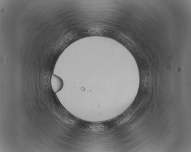 X0000061100603200512161350