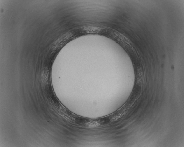 X0000061100604200512161350