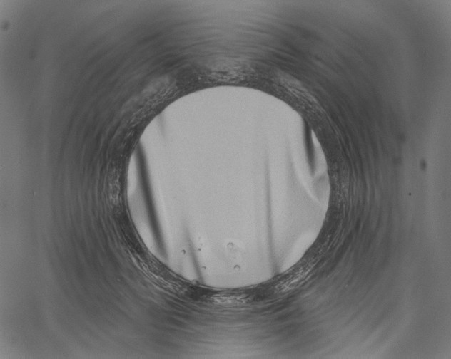 X0000061100606200512161350