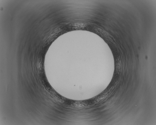 X0000061100608200512161350